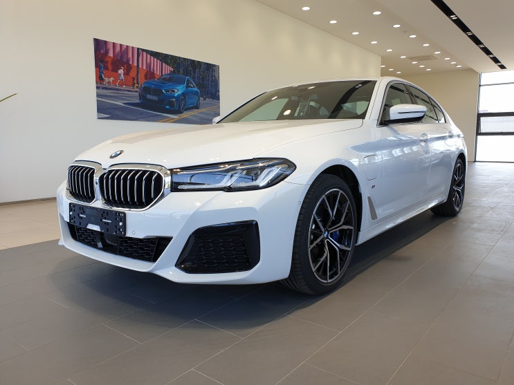 BMW 530e 플러그인 하이브리드 출고 후기 (알파인 화이트 / 모카 시트)