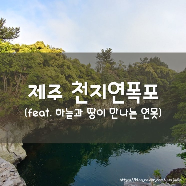  [제주도] 천지연폭포, 휴애리, 쇠소깍 - 꽃이 만발한 5월 제주 여행