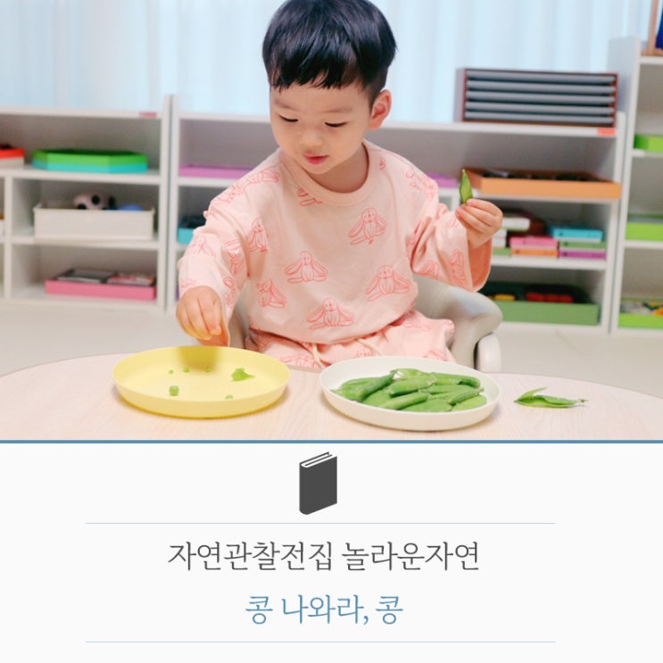  [책육아] 자연관찰전집 놀라운자연 식물책 '콩 나와라 콩' 독후활동