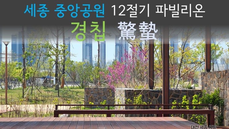 [세종시 가볼만한곳] 세종중앙공원 12절기 파빌리온 '경칩 驚蟄'