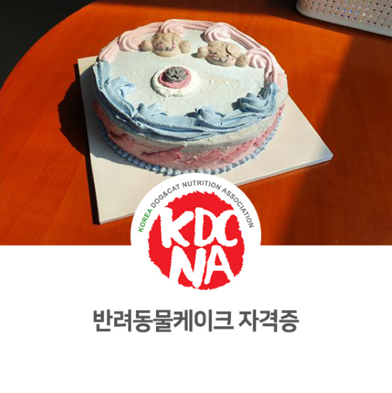  [나의반려/익산/한국반려동물영양협회/펫푸드자격증/단양/청주/구미/의성/안동/서산/공주] 강아지 고양이 케이크 전문가 자격 과정_792