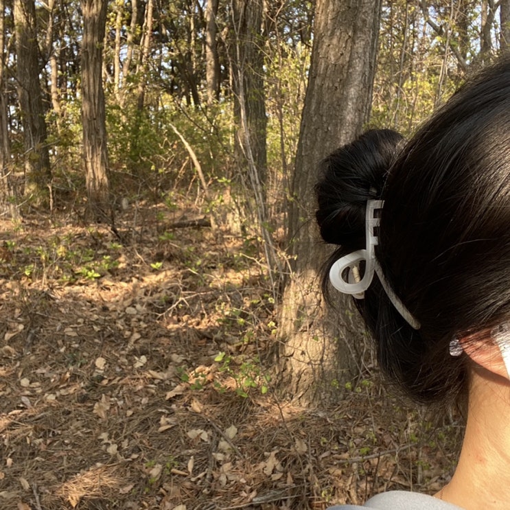  로레알 마지커버 3어두운갈색 셀프톤다운염색 후기