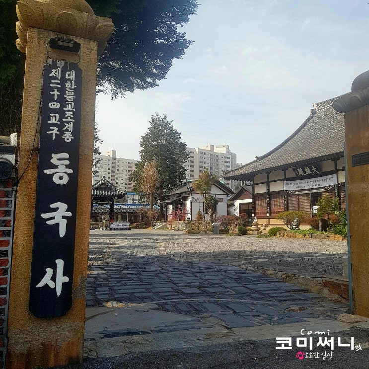 군산 여행 국내 유일한 일본식 사찰 동국사