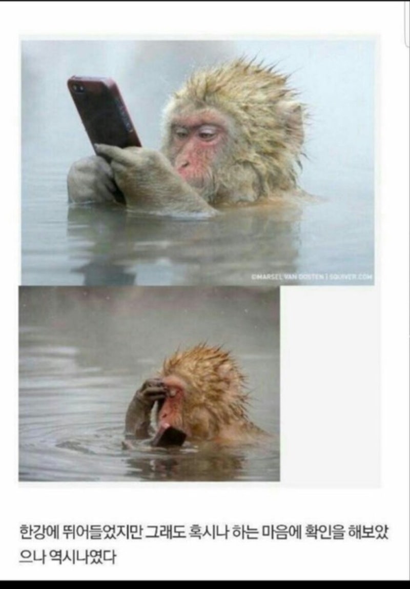 한강가즈아, 비트코인 코인 시장 떡락 향후 전망은?? : 네이버 블로그