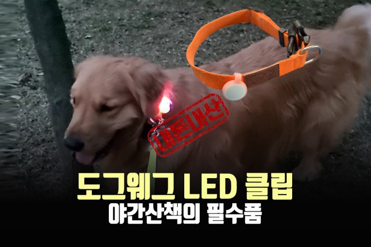 강아지LED목걸이, 도그웨그 LED 팬던트 클립