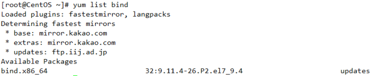  리눅스 Authoritative DNS 서버 간단 구축 [Linux 관리]