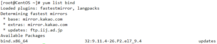 리눅스 Authoritative DNS 서버 간단 구축 [Linux 관리]