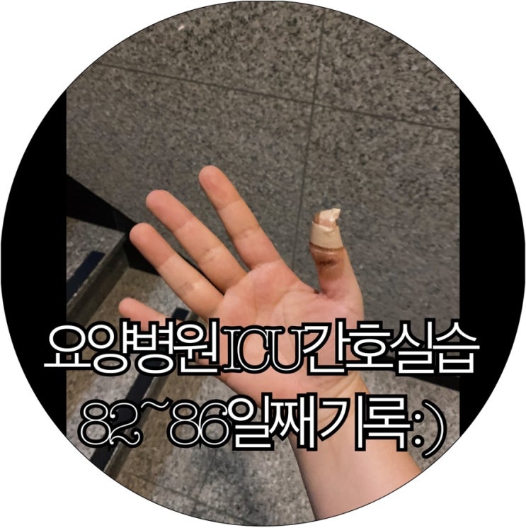  [간호조무사실습생 은느님]요양병원 ICU간호실습 82~86일째 기록 : )