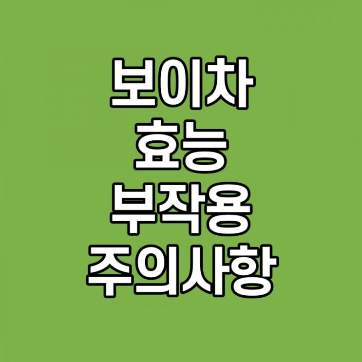  보이차 효능, 부작용, 성질, 다이어트, 주의사항, 끓이는 방법