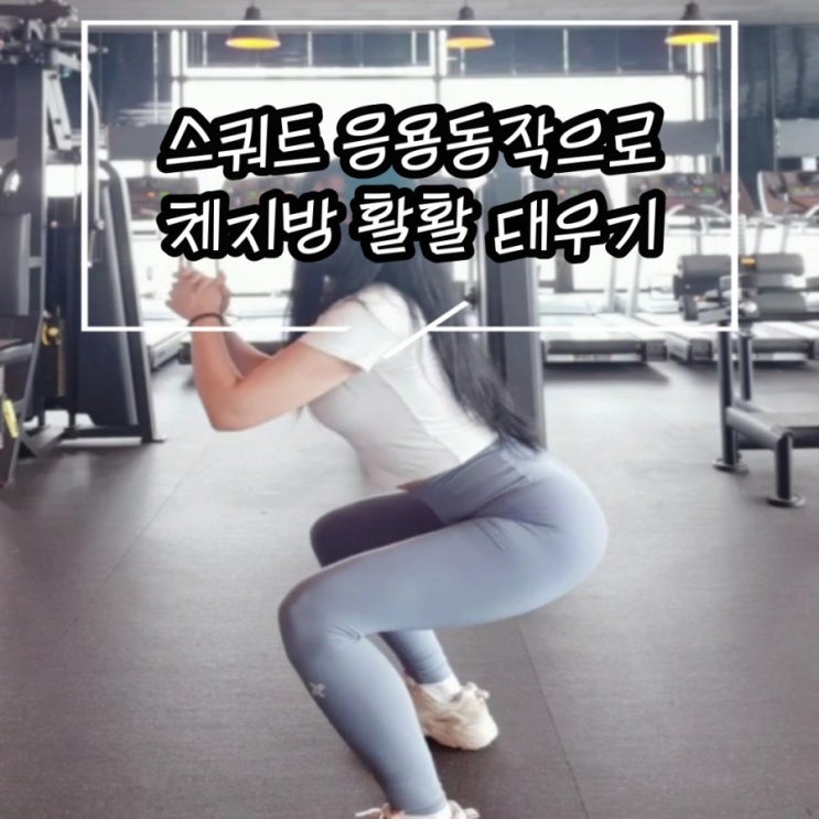  홈트레이닝)스쿼트 응용동작으로 유산소운동+근력운동을 동시에 해보자
