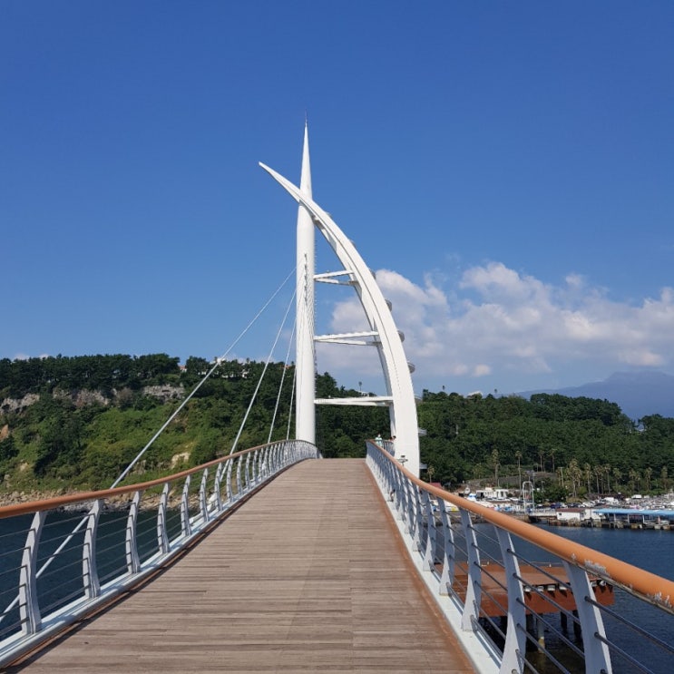  [제주여행]중문/서귀포 여행코스