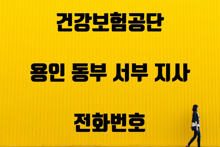  용인 건강보험지사 전화번호