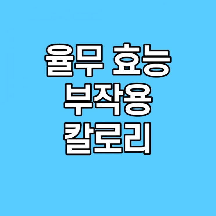 율무 효능, 칼로리, 부작용, 가루 이것만 기억하세요