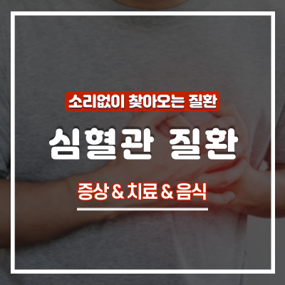  심혈관질환 증상 및 치료 : 심혈관 청소에 좋은 음식과 영양제 총정리