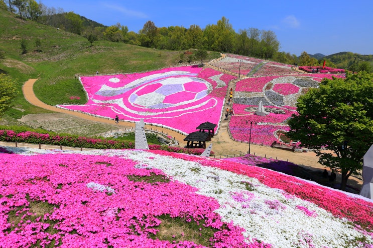  경남 산청 국제조각 공원 꽃잔디 동산