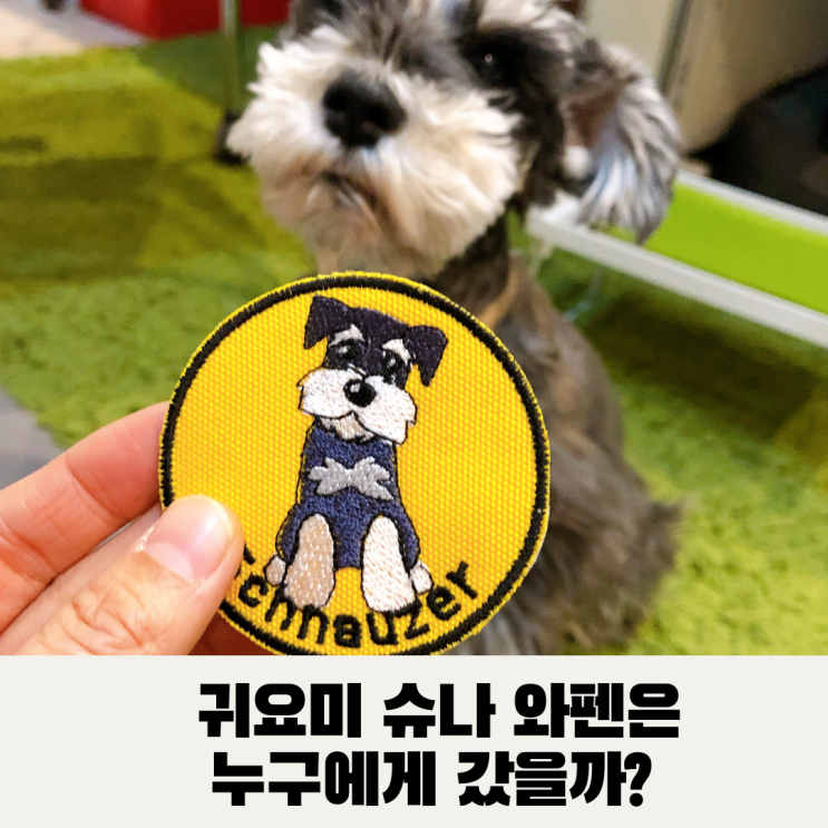  [고객선물] 소형견 어부바가방 추천 후 슈나우저 와펜까지 만든 사연