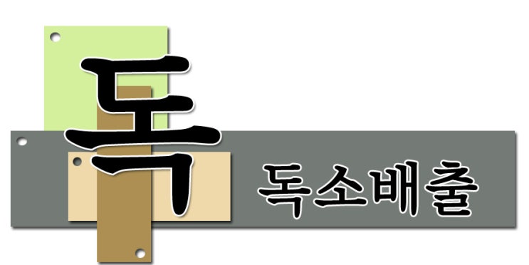  미세먼지와 독소 배출법