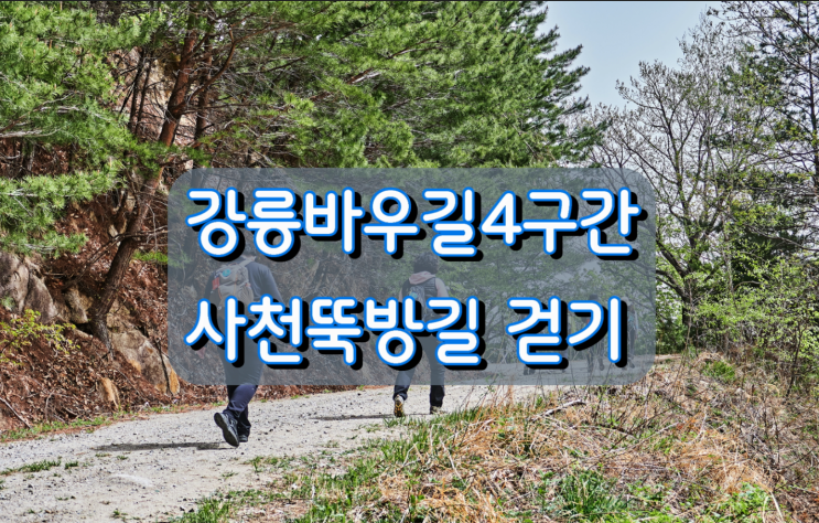 강릉바우길4구간 사천뚝방길 걷기 강릉바우길4구간 사천뚝방길 걷기
