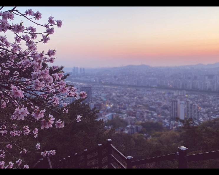  용마산에서 담은 서울 야경 (feat. 중곡역)