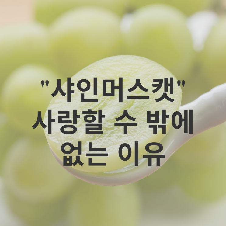  샤인머스켓 효능, 장점 우리가 사랑할 수밖에 없는 이유는?