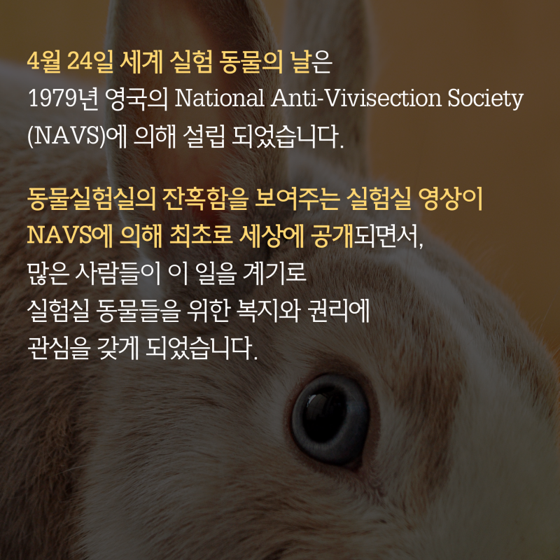 4월 24일, 오늘은 세계 실험 동물의 날입니다 : 네이버 블로그 4월 24일, 오늘은 세계 실험 동물의 날입니다 : 네이버 블로그