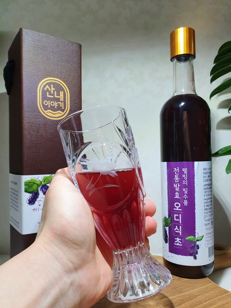 유기농식초 오디 식초 후기 불로초코리아 유기농식초 오디 식초 후기 불로초코리아