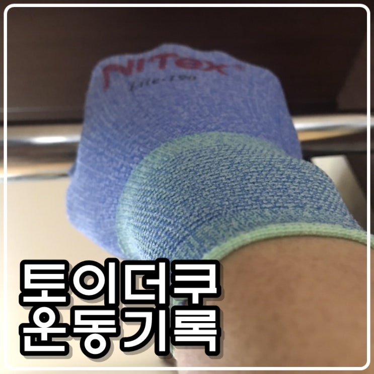 토이콜렉터 손대니 운동(다이어트)기록 - 턱걸이(풀업), 푸쉬업, 스쿼트 210423 토이콜렉터 손대니 운동(다이어트)기록 - 턱걸이(풀업), 푸쉬업, 스쿼트 210423