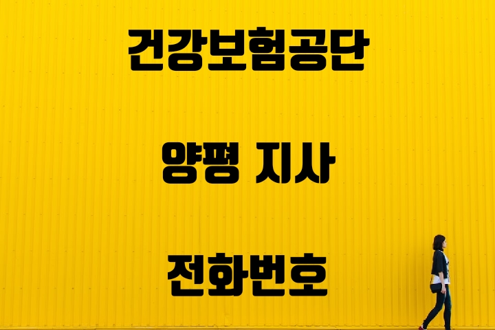  양평 건강보험지사 전화번호