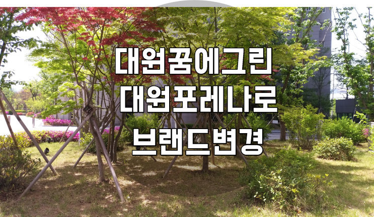 창원아파트 대원꿈에그린            대원포레나로  브랜드변경