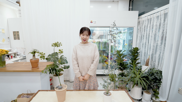  향이 좋은 유칼립투스 (Eucalyptus) 키우기 | 실내에서 키우는 방법 | 유칼립투스 구니, 폴리안 유칼립투스