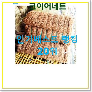  만족스러운 m40 꿀템 저렴하게 사는법
