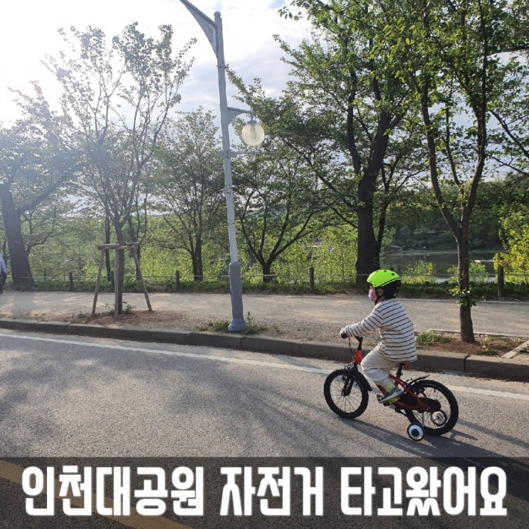  인천대공원 폐쇄? x 개방! 자전거대여소o 텐트x 돗자리x 동물원x 놀이터o