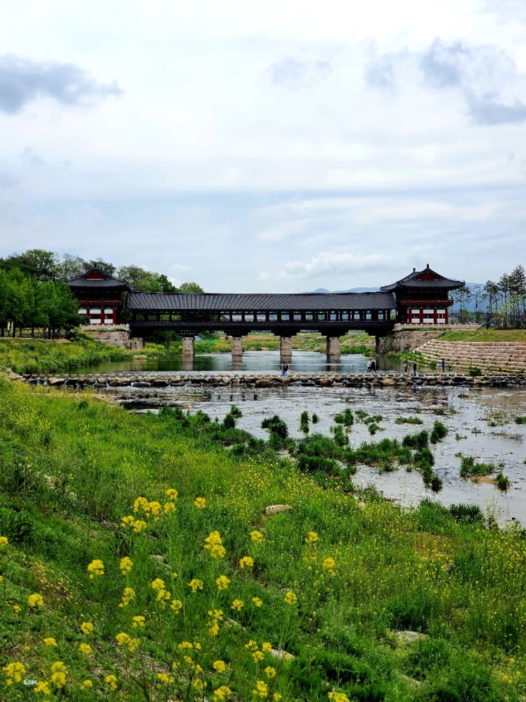  경주 1박 2일 2일 차 (대릉원, 월정교, 교촌마을, 교리김밥, 분황사, 감은사지, 문무대왕릉, 골굴사, 기림사, 포항물회)