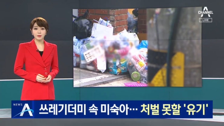 쓰레기더미 속 미숙아 시신발견 낙태약 범인 자수 처벌 불가 쓰레기더미 속 미숙아 시신발견 낙태약 범인 자수 처벌 불가