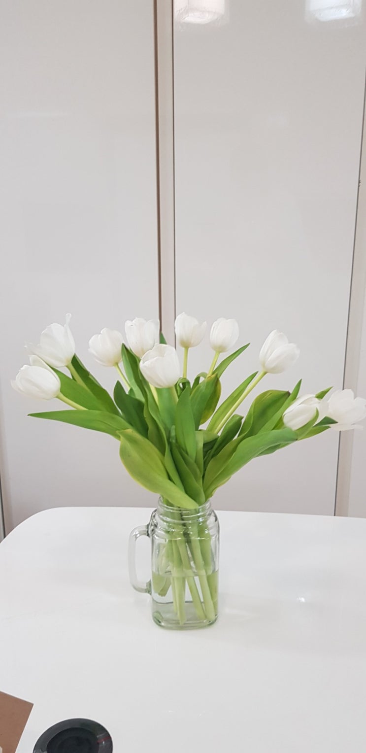  꽃시장. 안구정화하고왔네요~