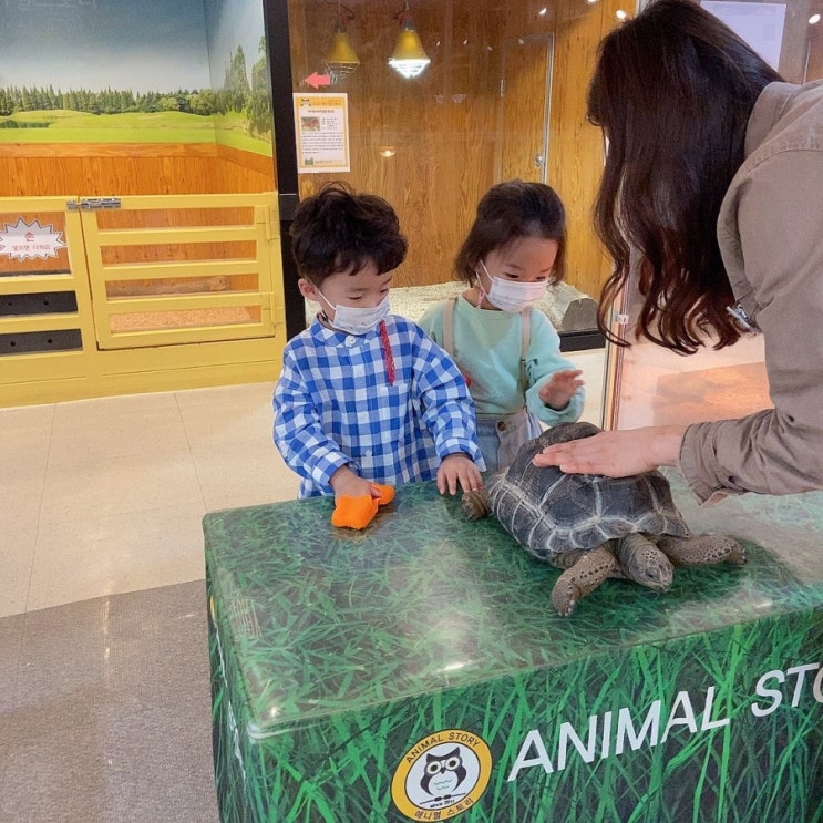  아이와 가볼만한곳 직접 만져보고 먹이주고 체험 할 수 있는 창원 동물원[애니멀스토리]
