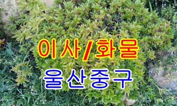 울산중구용달 다운동 우정동 용달운송.