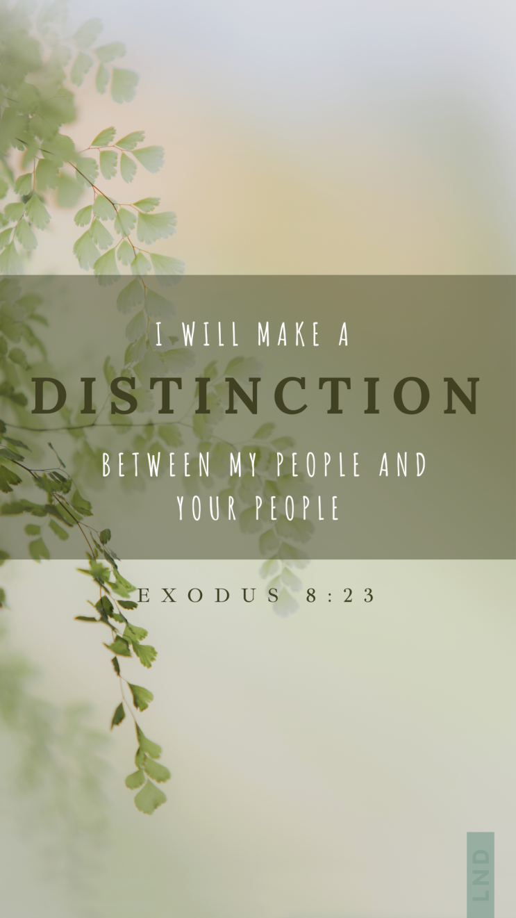  영어말씀배경 Bible Verse Wallpaper)출애굽기8장23절,구별 성경말씀 폰배경, 말씀카톡배경, 말씀폰화면, 말씀프사, 아이폰배경