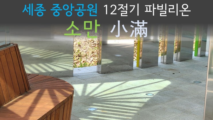  [세종시 가볼만한곳] 세종중앙공원 12절기 파빌리온 '소만' 小滿