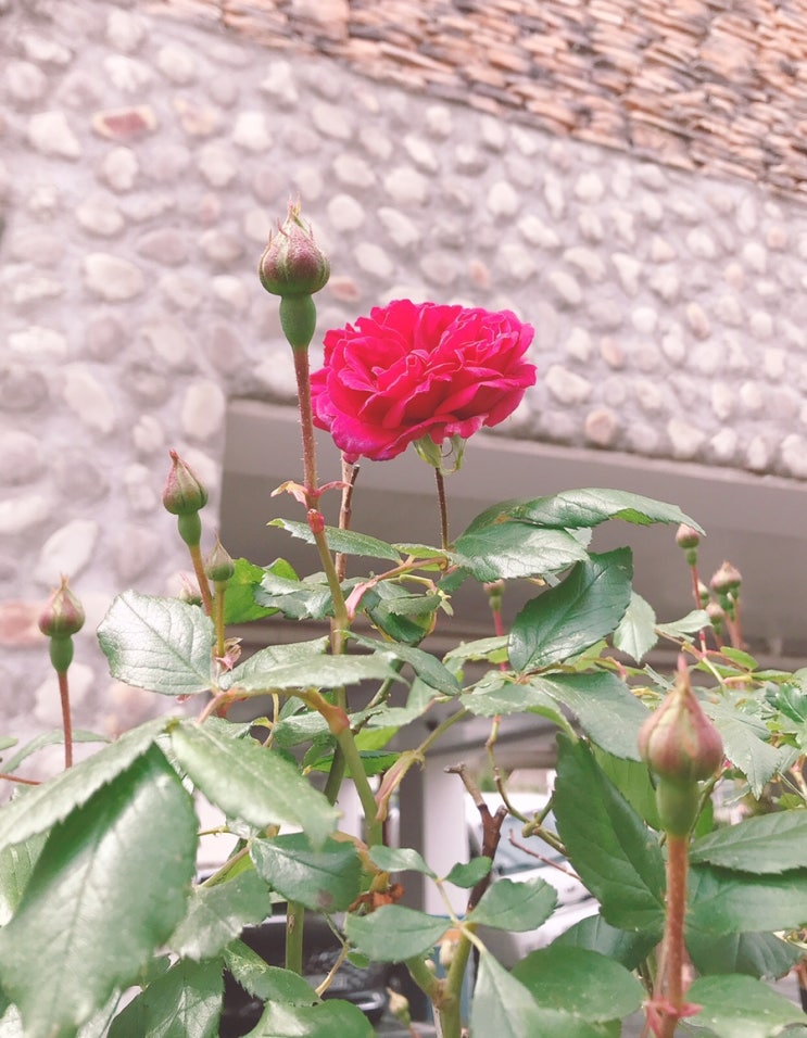  나만의 알찬 하루 만들기 프로젝트 (32일차)