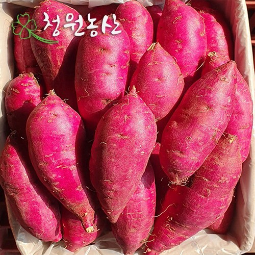 최근 인기있는 청원농산 햇밤 꿀고구마 (특/특상) 3kg 5kg 10kg, 3kg x 1box 좋아요 최근 인기있는 청원농산 햇밤 꿀고구마 (특/특상) 3kg 5kg 10kg, 3kg x 1box 좋아요