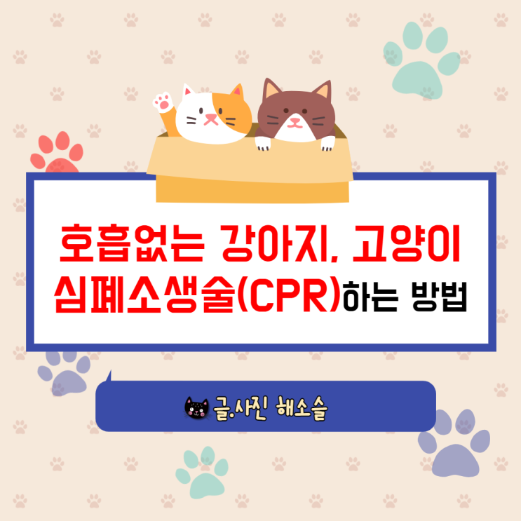  호흡없는 동물 강아지, 고양이 심폐소생술(CPR) 하는 방법