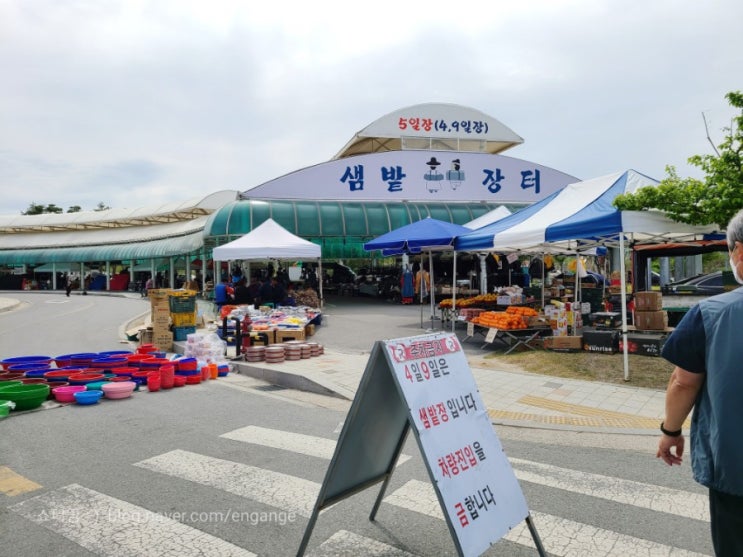  춘천 5일장 샘밭장 나들이