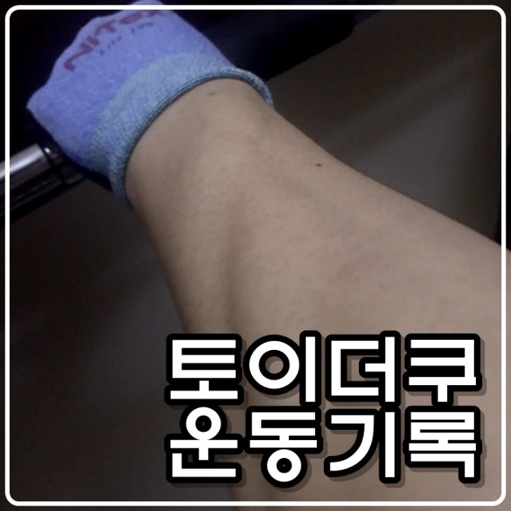 토이콜렉터 손대니 운동(다이어트)기록 - 턱걸이(풀업), 푸쉬업 210424 토이콜렉터 손대니 운동(다이어트)기록 - 턱걸이(풀업), 푸쉬업 210424