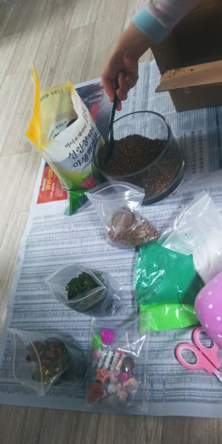  생태정원 테라리움 만들기