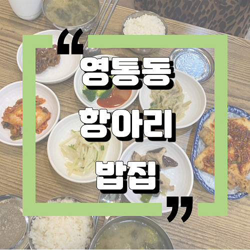  [수원시 영통구] 영통동 맛집 ：항아리 밥집 / 카페디아망 카페：