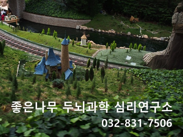 인천송도 좋은나무 두뇌과학 연구소의 IM감각통합치료 인천송도 좋은나무 두뇌과학 연구소의 IM감각통합치료