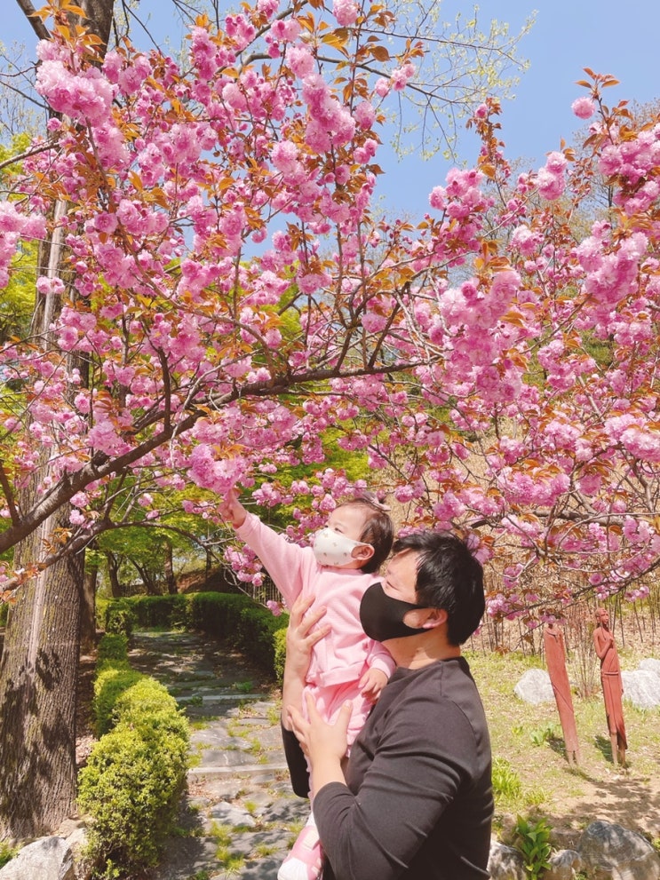 서울대공원겹벚꽃 동물원나들이 리프트패키지부터 간단한 입장팁