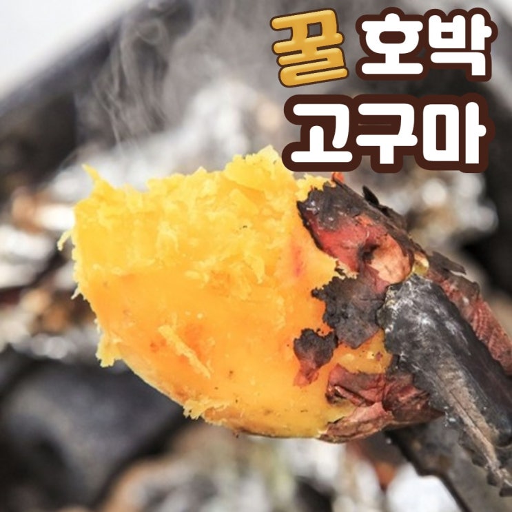 많이 팔린 욜로온 고구마 밤고구마 2kg 3kg 5kg 10kg 호박고구마 꿀고구마 햇고구마, 한입사이즈 좋아요