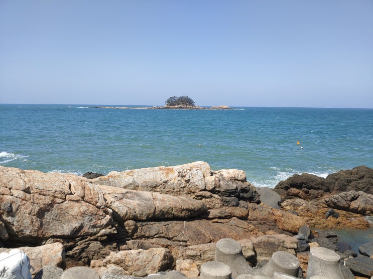 충청남도 서천여행 (서천 마량리 동백나무 숲 / 동백정) 충청남도 서천여행 (서천 마량리 동백나무 숲 / 동백정)